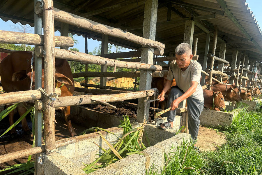 Vùng cao Hà Tĩnh với hành trình thoát nghèo bền vững
