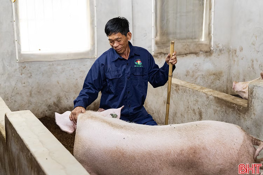 Hà Tĩnh làm gì để nâng chất môi trường nông thôn mới?