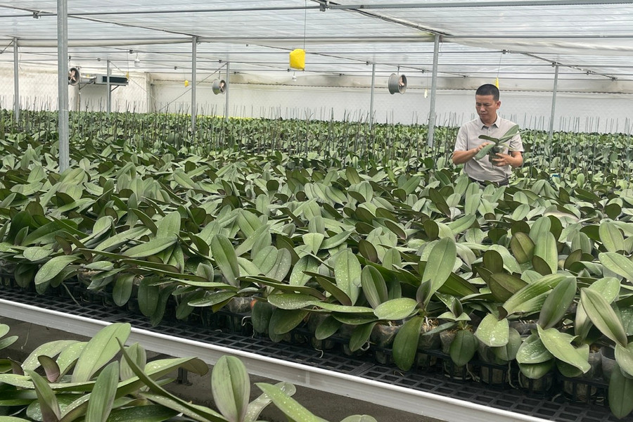Bí quyết để Hà Tĩnh đưa công nghệ vào sản xuất nông nghiệp