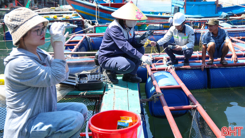 Sở NN&MT Hà Tĩnh thông báo kết quả phân tích mẫu cá tại Vũng Áng, Thiên Cầm