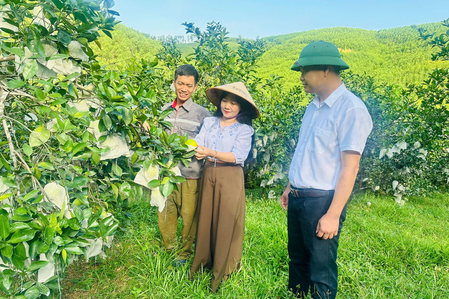 Công nghệ số: nâng cao giá trị nông sản miền núi Hà Tĩnh