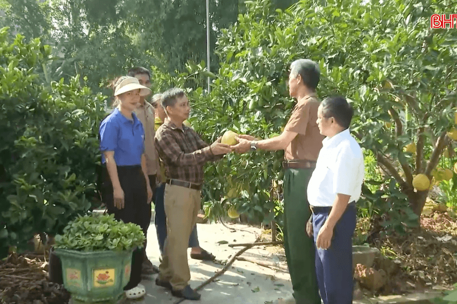 “Quả ngọt” trong bức tranh giảm nghèo, phát triển kinh tế ở xã Trường Lưu